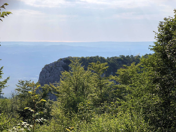 Maravillosos panoramas de bosques y pastos desde el mirador en el Parque Natural de Ucka, Croacia / Cudesne panorame na sume i pasnjake sa vidikovaca u parku prirode Ucka, Hrvatska - Foto, imagen
