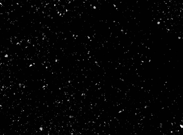 Real snow on black background as texture - Photo, Image