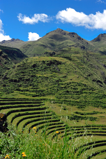Hillside teraszok Peruban - Fotó, kép