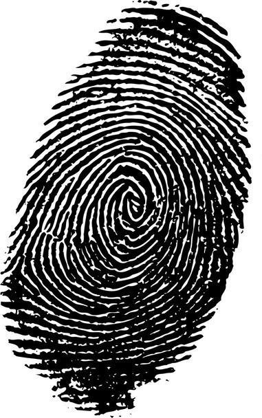Fingerprint - Vector, Image