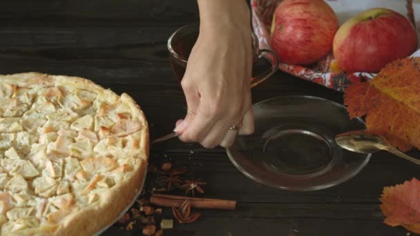 The woman takes a piece of homemade apple pie and puts it on a plate. Still life on the theme of autumn, harvesting apples and homemade cakes on a dark wooden table. - Footage, Video