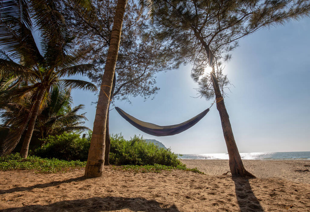Amazing view on beach and hammock in South India. Gokarna , Karnataka state.  Pine and palm trees and unrecognizable persons at distance.  Sunny day at India at winter - Фото, изображение