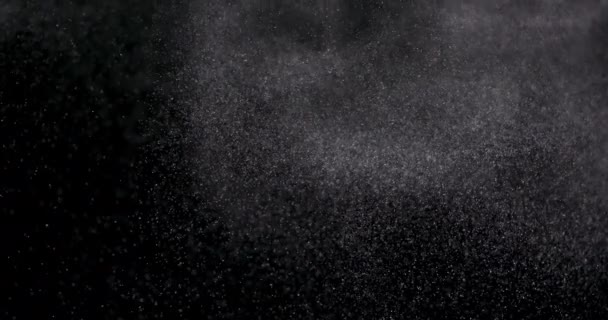 Puder isoliert auf schwarzem Hintergrund - Filmmaterial, Video