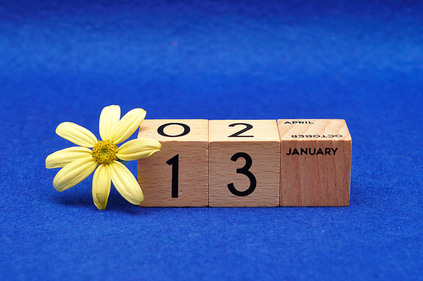 13 januari op houten blokken met een gele bloem op een blauwe achtergrond - Foto, afbeelding