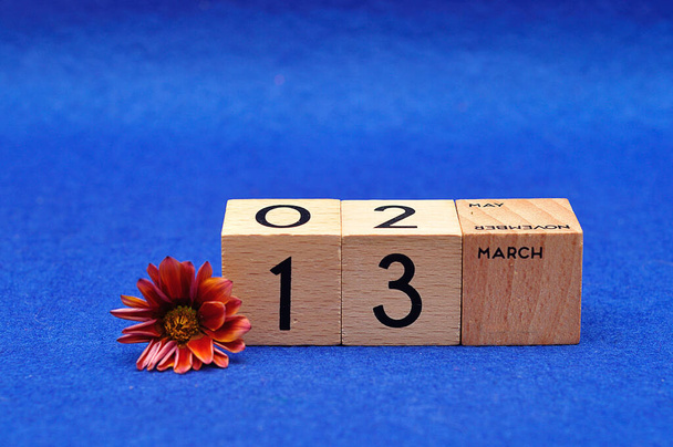13 March on wooden blocks with an African daisy on a blue background - Photo, Image