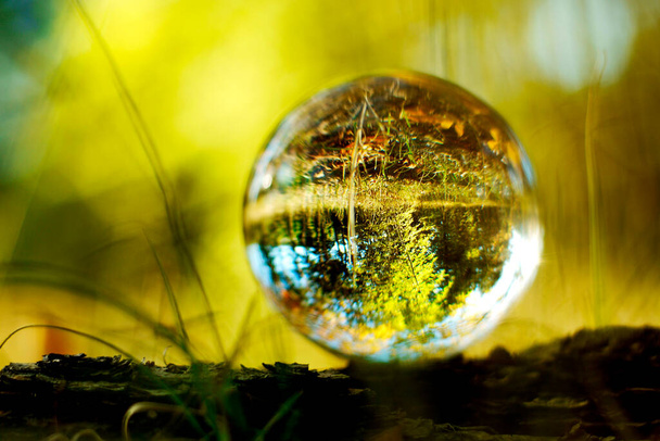 Doğada bir mercek topu. Orman manzarası cam topun içinden bulanık. - Fotoğraf, Görsel