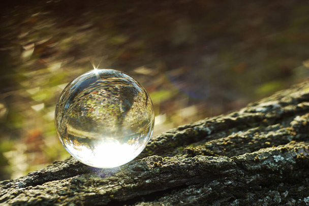 Eine Linsenkugel in der Natur. Waldblick durch die Glaskugel in Unschärfe. - Foto, Bild