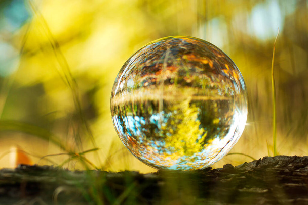 Een lensbal in de natuur. Boszicht door de glazen bol in vervaging. - Foto, afbeelding