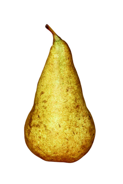 Appetizing sweet pear isolated on white background taken closeup. - Photo, Image