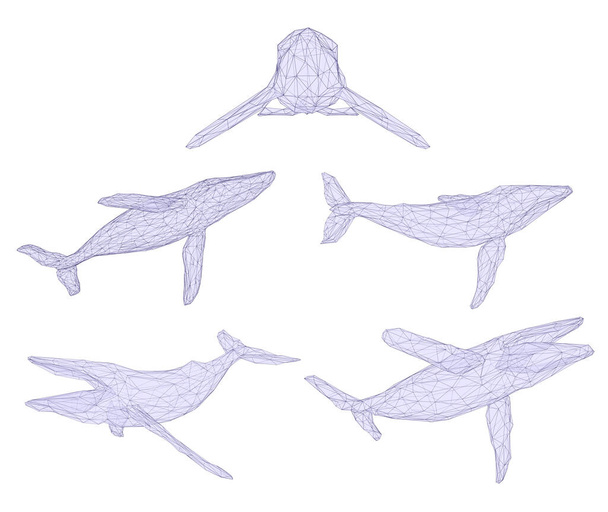 3d vector set. ocean protection. big blue whale - Vektor, Bild