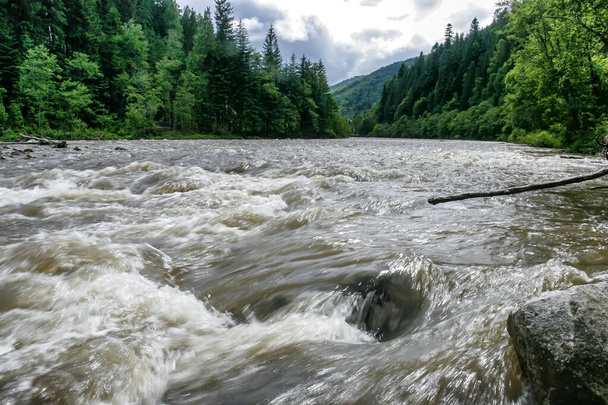 Stormy mountain river in the Carpathian mountains, Ukraine. Long exposure. High quality photo - Photo, Image
