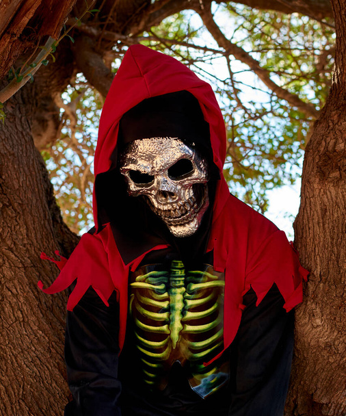 Porträtaufnahme einer Person in einem Halloween-Kostüm, die auf einem Baum sitzt - Foto, Bild