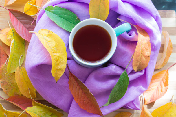 Tè caldo in una tazza blu su uno sfondo di legno, il tè è avvolto in una sciarpa lilla e foglie autunnali, gialle, rosse, oro, vengono versate.. - Foto, immagini