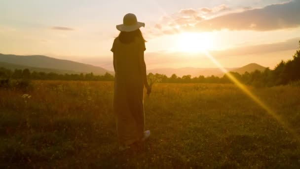 widok z tyłu samica z rumiankami spacery po polu o zachodzie słońca - Materiał filmowy, wideo