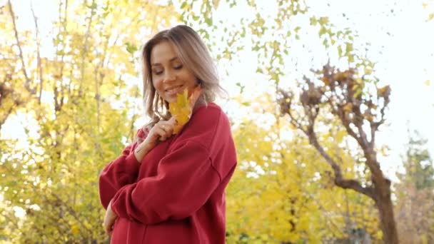 Embarazada dama en vestido rojo sostiene hojas de arce amarillo en el parque - Metraje, vídeo