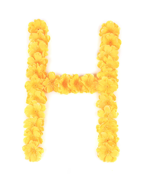 Letter H flower alphabet. - Photo, Image