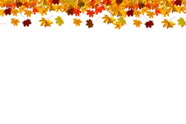 őszi levelek keret elszigetelt fehér háttér - Fotó, kép