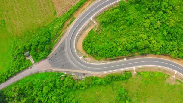 luchtfoto auto 's die op de route rijden - Video