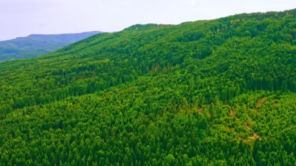 Luftaufnahme des Greenwood Highlands - Filmmaterial, Video