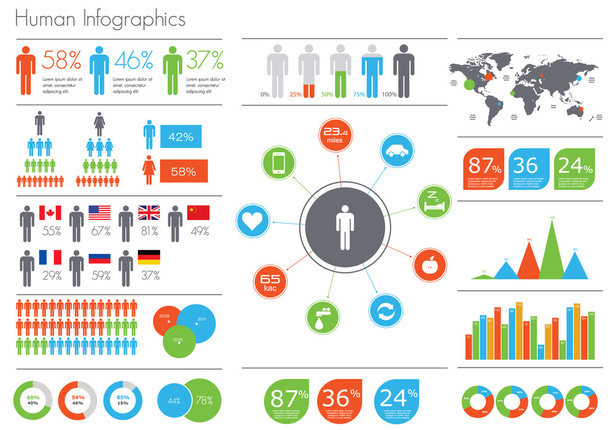 menschliche infografische Illustration. - Vektor, Bild