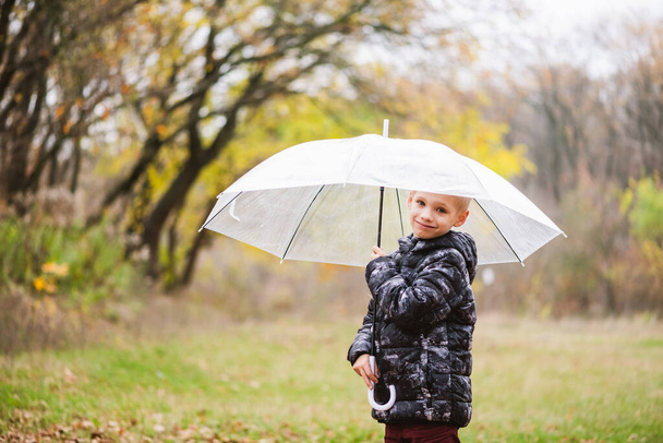 Male child primary school age posing with big transparent umbrella under rain during walk at fall nature background - Photo, Image