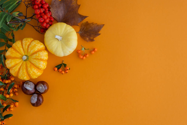 Lei plat d'automne sur fond orange de feuilles, de baies et de petites citrouilles. Le concept de vacances d'automne, jour de Thanksgiving. Place pour le texte. - Photo, image