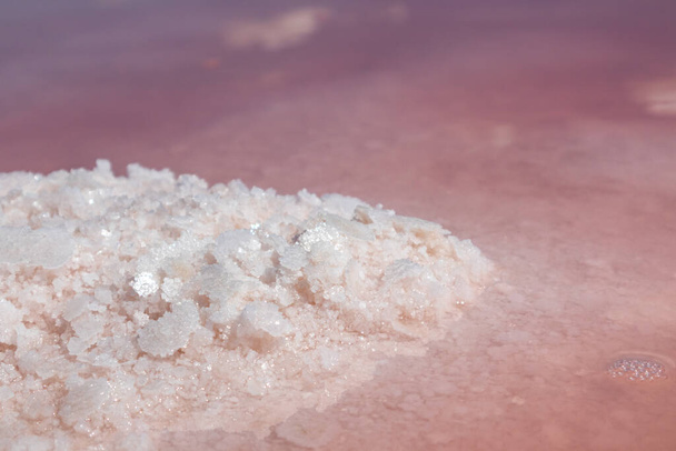 Zout roze kristallen bos close-up schijnt in roze water oppervlak met spiegelreflectie. Spa reizen recreatie op Syvash of Sivash, Rotte Zee, Oekraïne - Foto, afbeelding