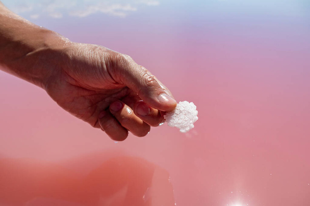 Hand fingers holding pink white salt flake crystal formation near pink vibrant lake reflective water surface. Spa resort sunny close-up on Syvash, Ukraine - Photo, Image