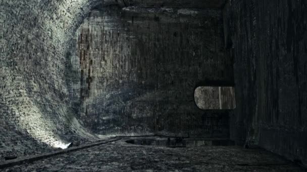 Dark dungeon, evil bats under the vault. dim sinister blue light at the bottom. - Footage, Video