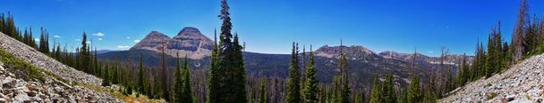 レイク・キューベルデンシャル・ハイキング・トレイルパスレイク・トレイルヘッド(ユタ州,アメリカ)からユータ山脈にあるボールド・マウンテン・マーセルと池、森、牧草地の景色. - 写真・画像