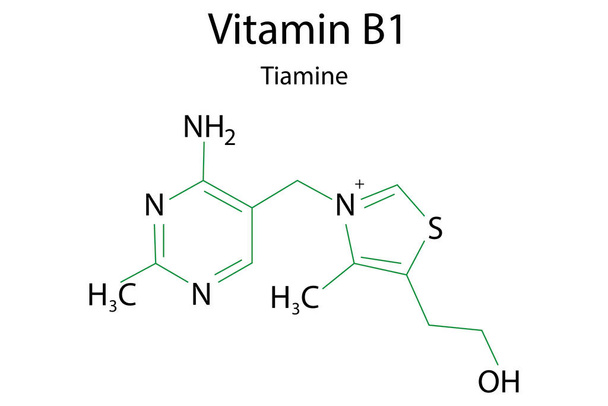 Fórmula de vitamina b1 para el diseño sanitario. La tiamina como alimento saludable. Ilustración vectorial. Foto de stock. - Vector, Imagen