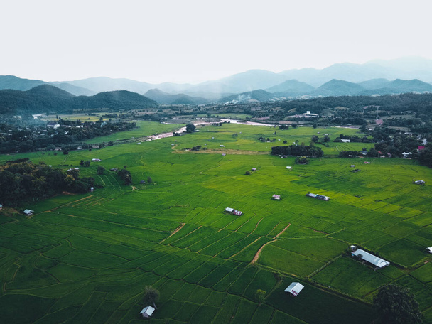 Zielone pola ryżowe z góry Na wsi - Zdjęcie, obraz