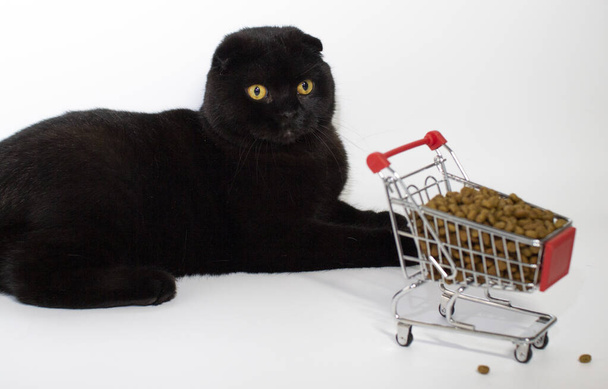 Un gatto nero con gli occhi gialli siede con un carrello pieno di cibo per gatti. - Foto, immagini
