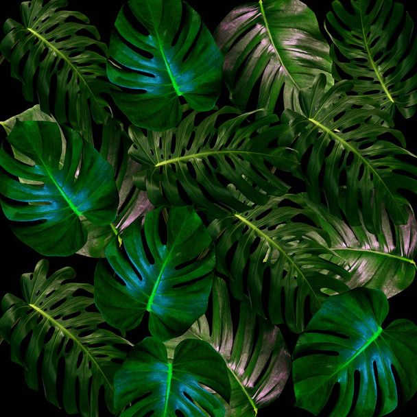 Візерунок зеленого листя для концепції природи, тропічний фон з текстурою листя
 - Фото, зображення