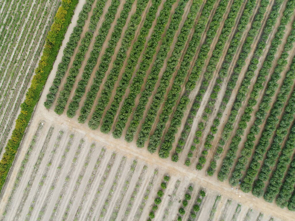 Luchtfoto van de landbouwsector. Beeld gemaakt met drone. - Foto, afbeelding