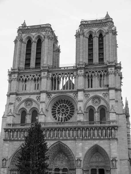 Notre Dame-Paris - Foto, Bild