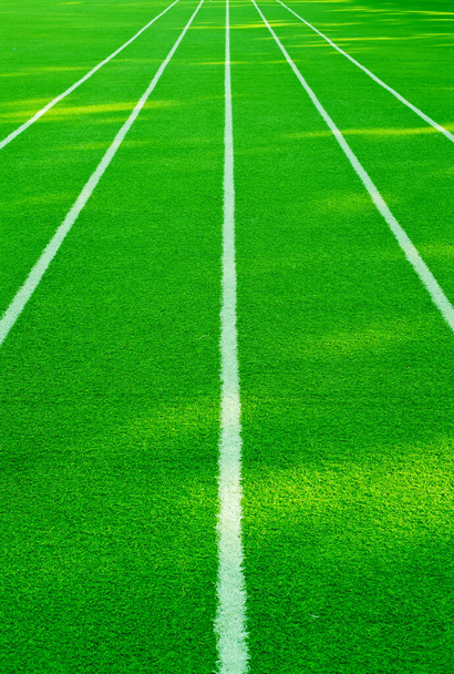 Green grass background, football field - Photo, Image