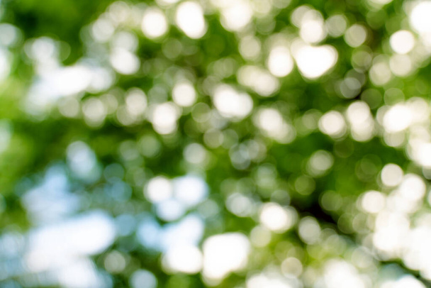 natuurlijke groene bokeh abstracte achtergrond, wazig textuur - Foto, afbeelding
