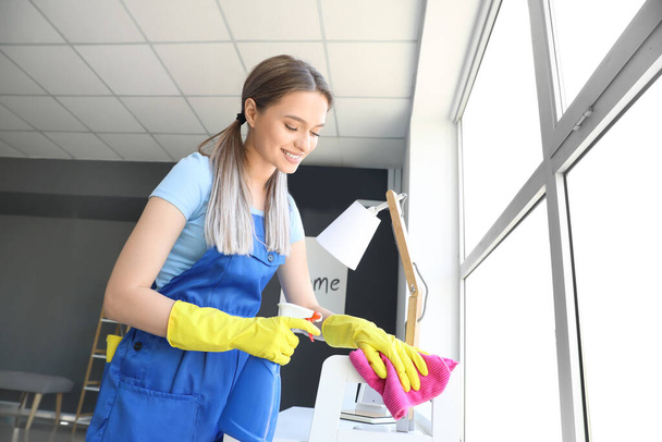 Young woman cleaning her flat - Foto, Imagem