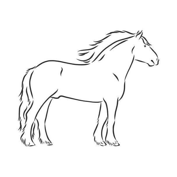 met de hand getekend silhouet van een stuiterend zwaar - geharnast wit paard op een witte achtergrond - Vector, afbeelding
