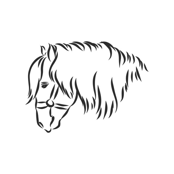 silhouette disegnata a mano di un cavallo bianco saltellante - imbrigliato su uno sfondo bianco - Vettoriali, immagini