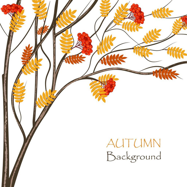 Autumn rowan tree for use in your design - Vektori, kuva