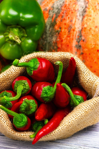 Vegetables, autumn harvest. Pumpkin, garlic, pepper. Close-up - 写真・画像