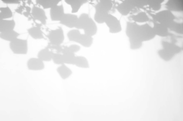Foglie realistiche e organiche effetto ombra cornice naturale sovrapposizione su sfondo texture bianca, per sovrapposizione sulla presentazione del prodotto, sfondo e mockup - Foto, immagini