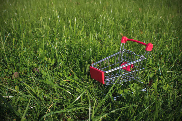 Mini trolley kar op groene gras achtergrond. Kopieerruimte, Shopping, sales en marketing concept - Foto, afbeelding