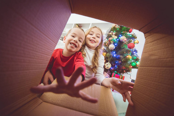 Los niños felices abren la caja cerca del árbol de Navidad - Foto, imagen