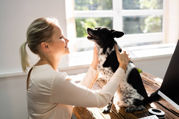 Woman Hugging Dog Working At Home Office - Foto, imagen