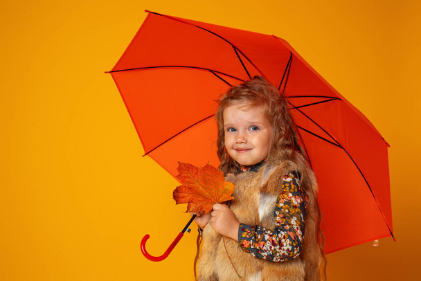 happy little girl with curly hair in a fur vest, brown boots and maple leaf stands under an orange umbrella on a yellow color background. - Zdjęcie, obraz