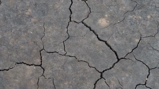 Powierzchnia grungy suche pękanie sucha ziemia dla tekstury tła. - Materiał filmowy, wideo