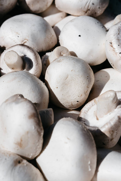 Lots of fresh champignons close-up view from above. Delicious and healthy mushrooms grown at home. Fresh raw champignon. Vertical background. - Photo, Image